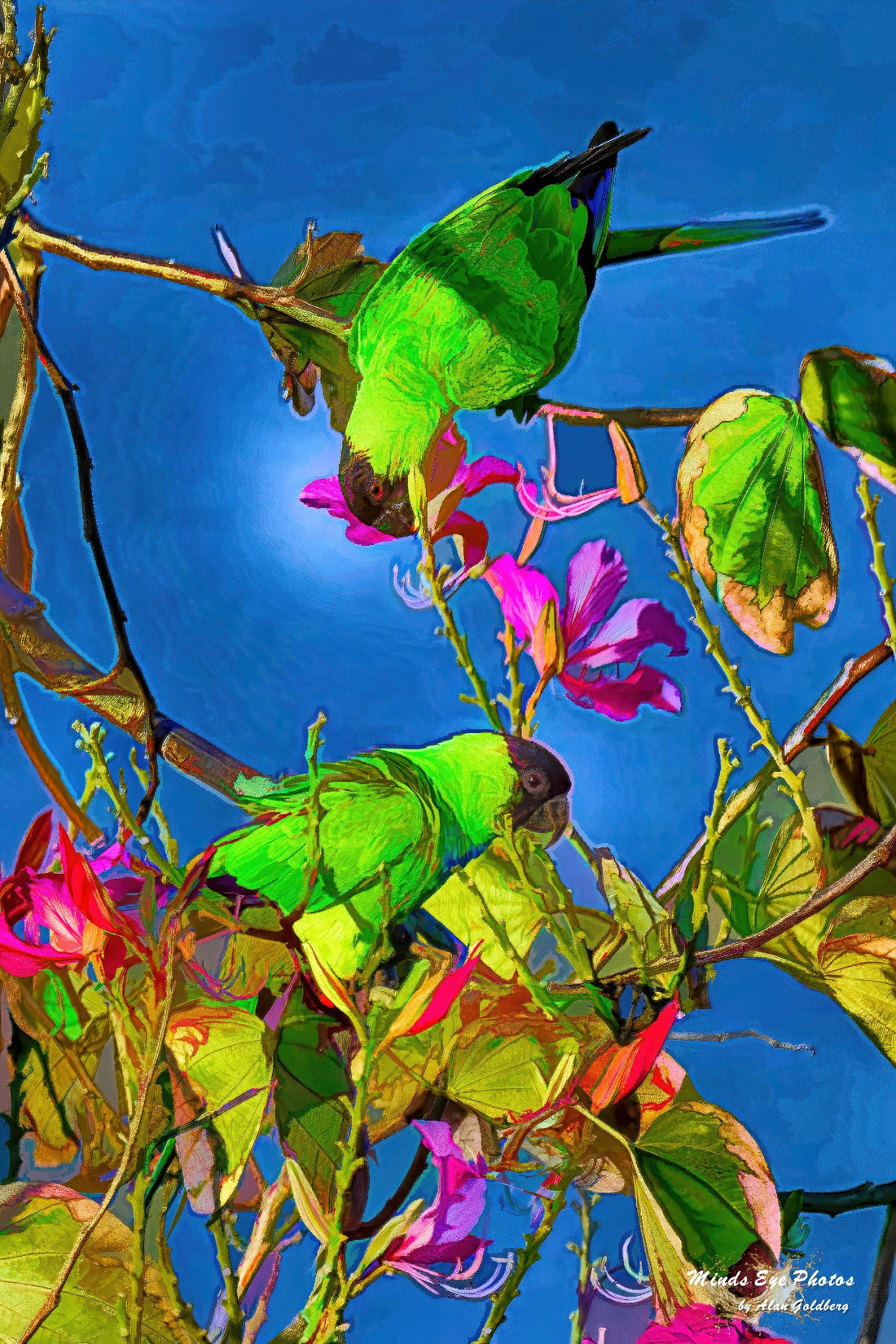 More splashes being made!