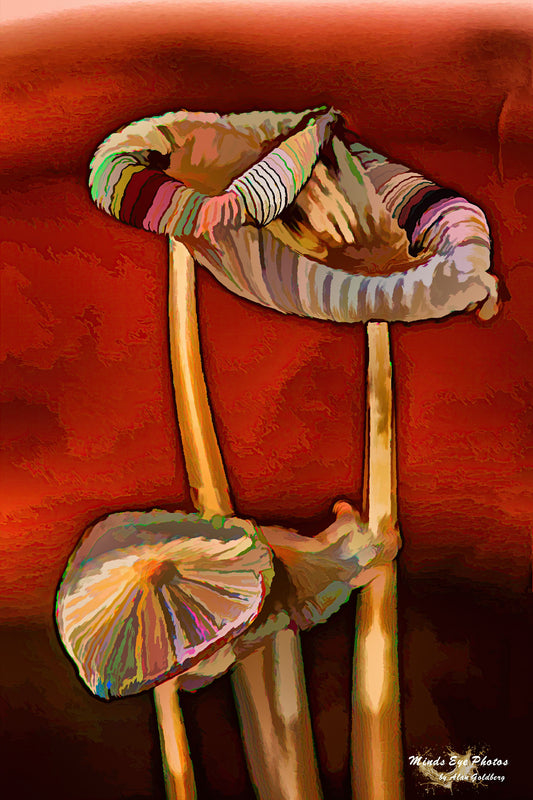 Sometimes it's the Little Things