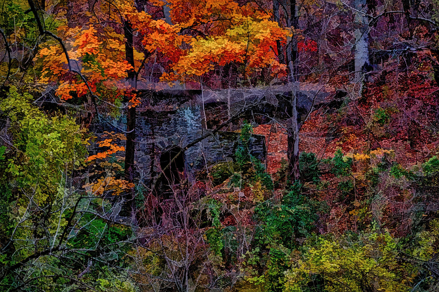 A Splash of Autumn - Limited Edition Photo Art by Alan Goldberg