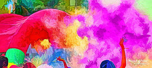 Color Run (Diwali) #1 In Acrylic Limited Edition Photo Art By Alan Goldberg