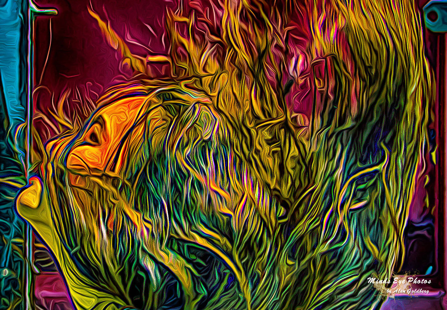 Limited Edition Colorful Hair Flip Photo Art By Alan Goldberg