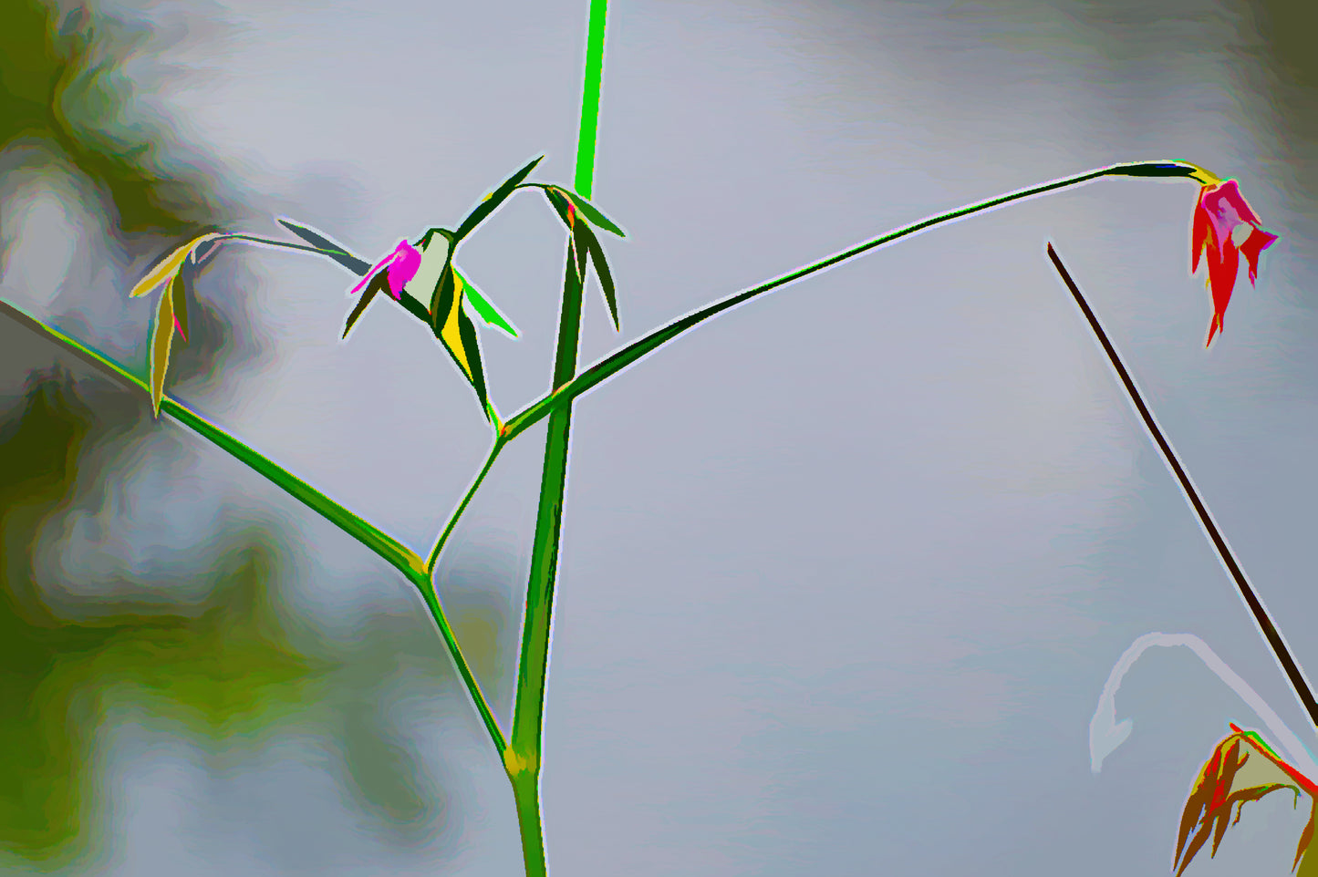 "Tiny Flowers" - Limited Edition Photo Art by Alan Goldberg