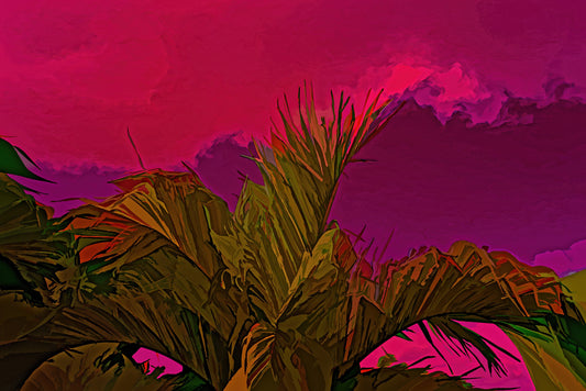 Palm and Sky in Infrared