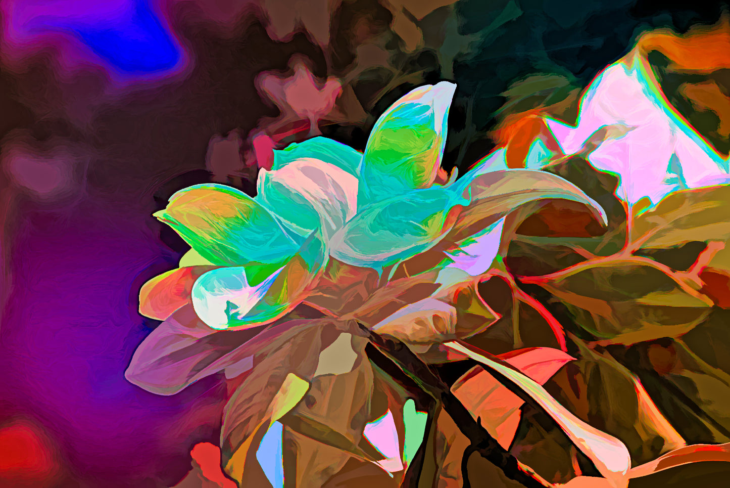 Magnolia Flower in Infrared #2