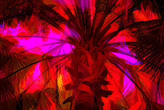 Red Palm - Large