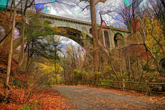 Forbidden Drive Bridge - Limited Edition Photo Art by Alan Goldberg