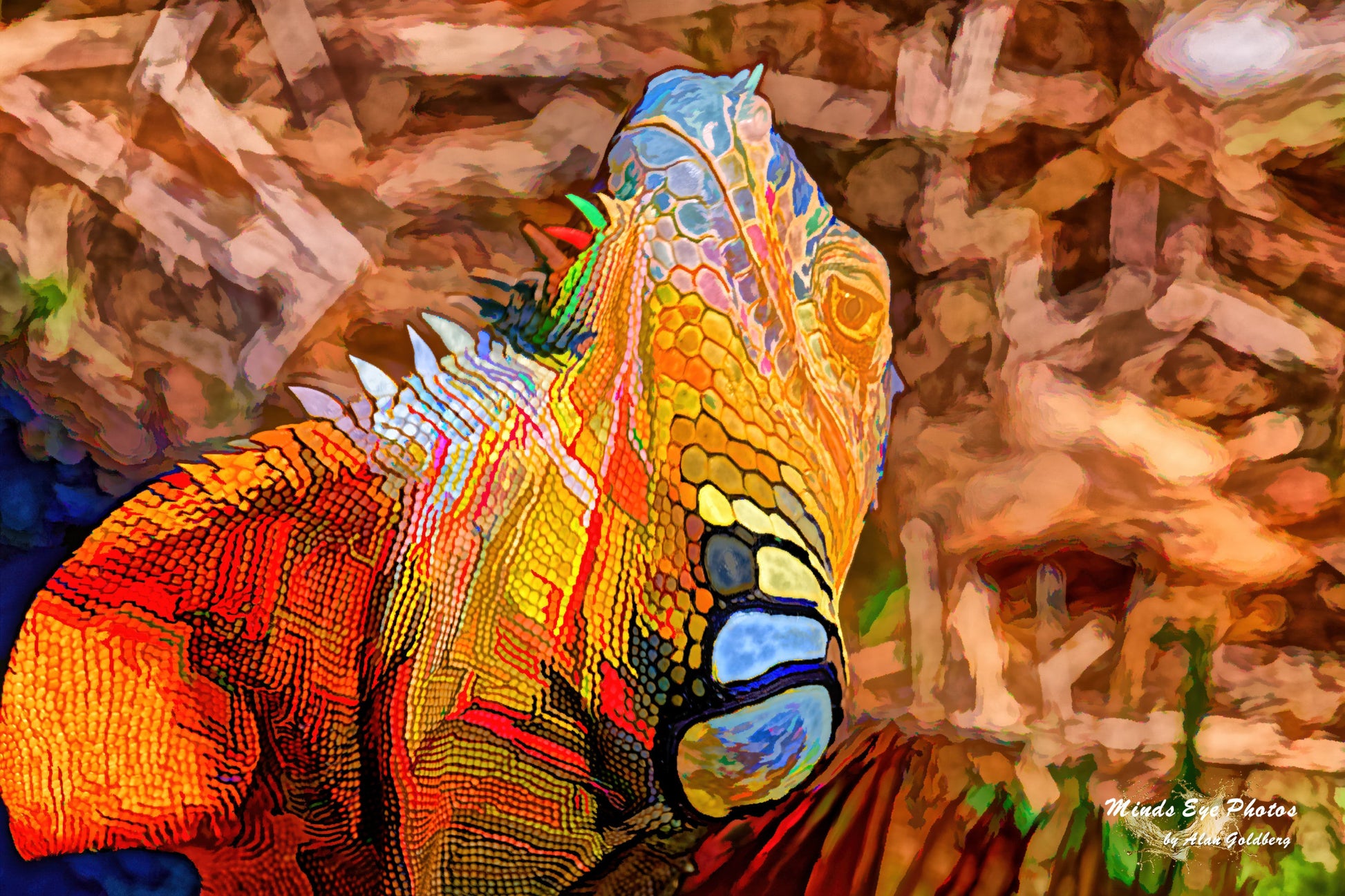 Iguana #1 Limited Edition Photo Art By Alan Goldberg