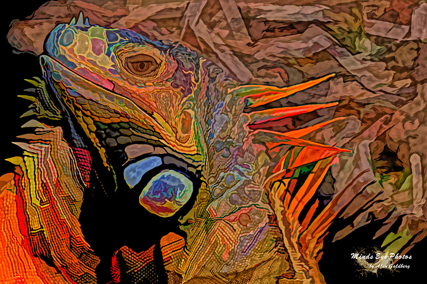 Iguana #2 Limited Edition Photo Art By Alan Goldberg