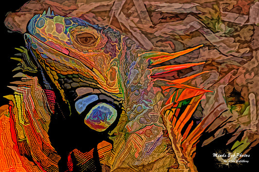 Iguana #2 Limited Edition Photo Art By Alan Goldberg