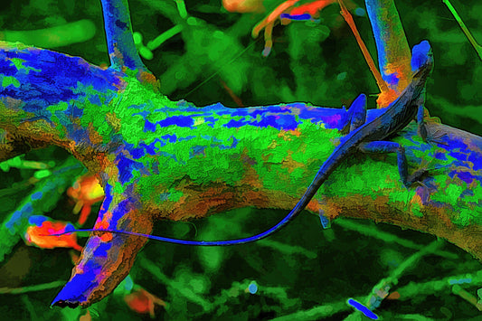 Lizard - Limited Edition Photo Art by Alan Goldberg