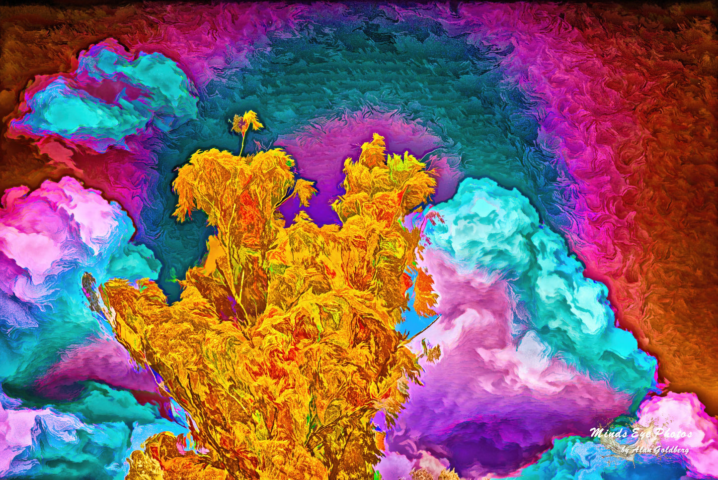 Orange Tree With Red And Blue Sky Limited Edition Photo Art By Alan Goldberg