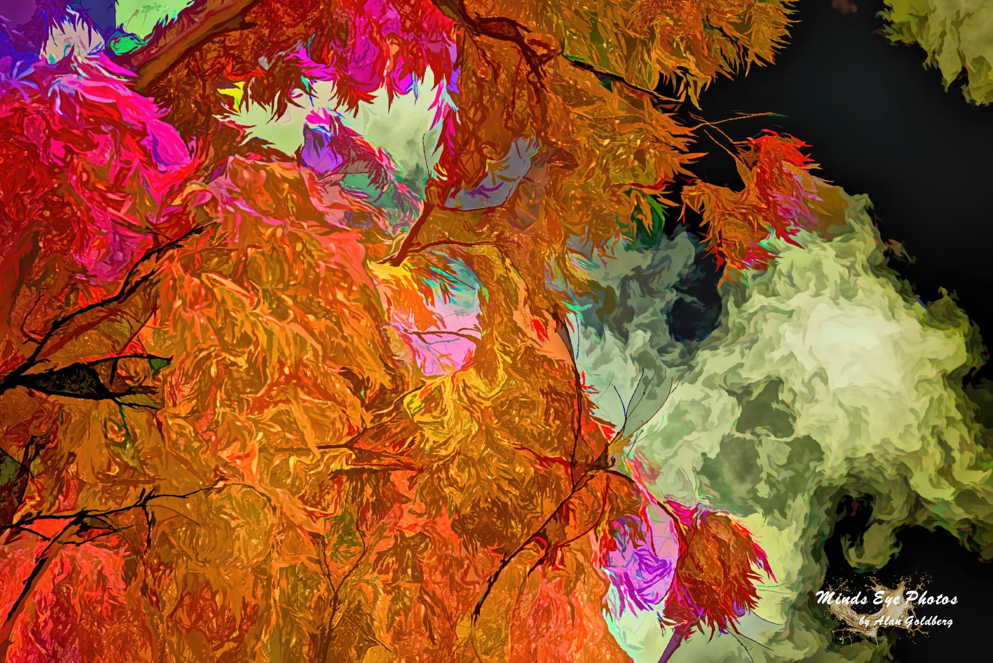 Red Orange Tree Limited Edition Photo Art By Alan Goldberg