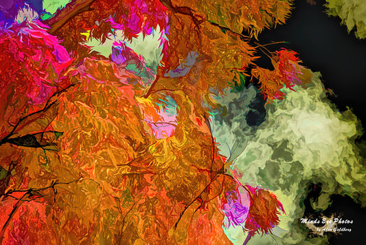 Red Orange Tree Limited Edition Photo Art By Alan Goldberg