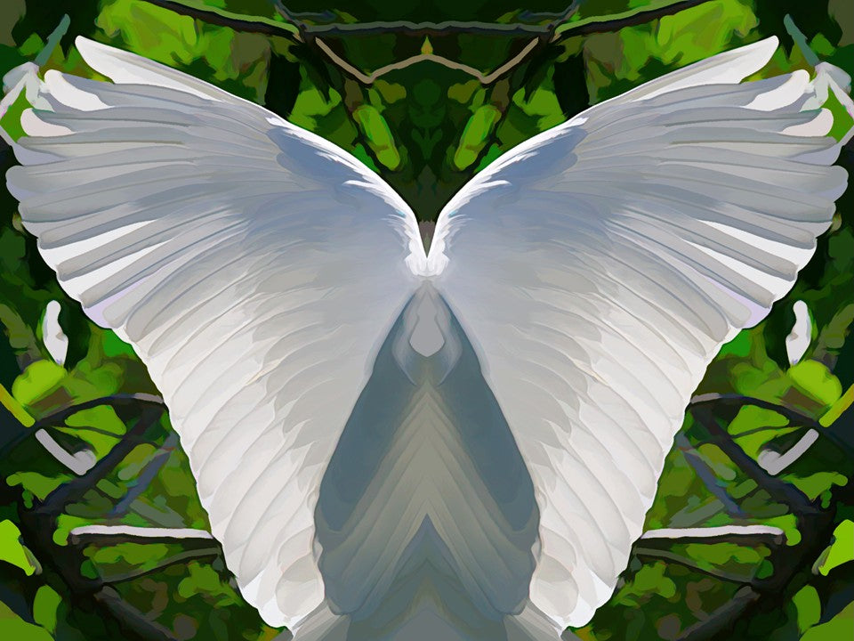 White Angel Wings - Acrylic