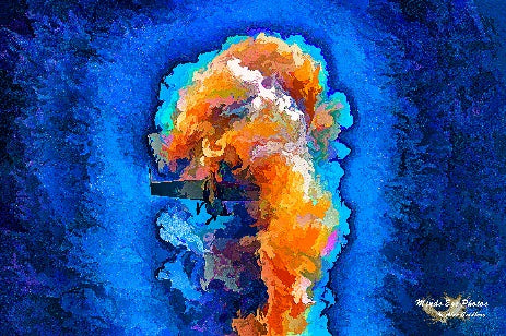 Stunt Plane Makes A U-Turn Limited Edition Photo Art With Acrylic Look By Alan Goldberg