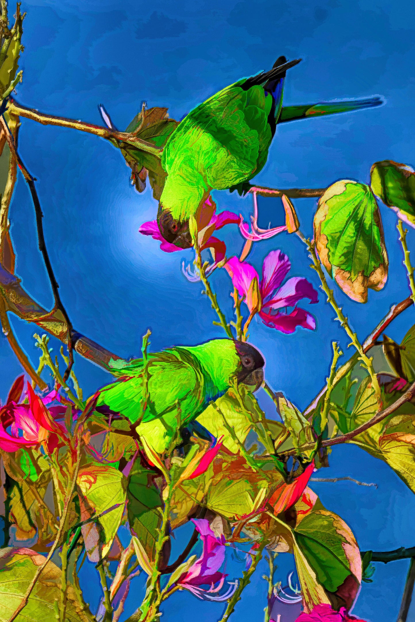 Green Parrots - Limited Edition Photo Art by Alan Goldberg