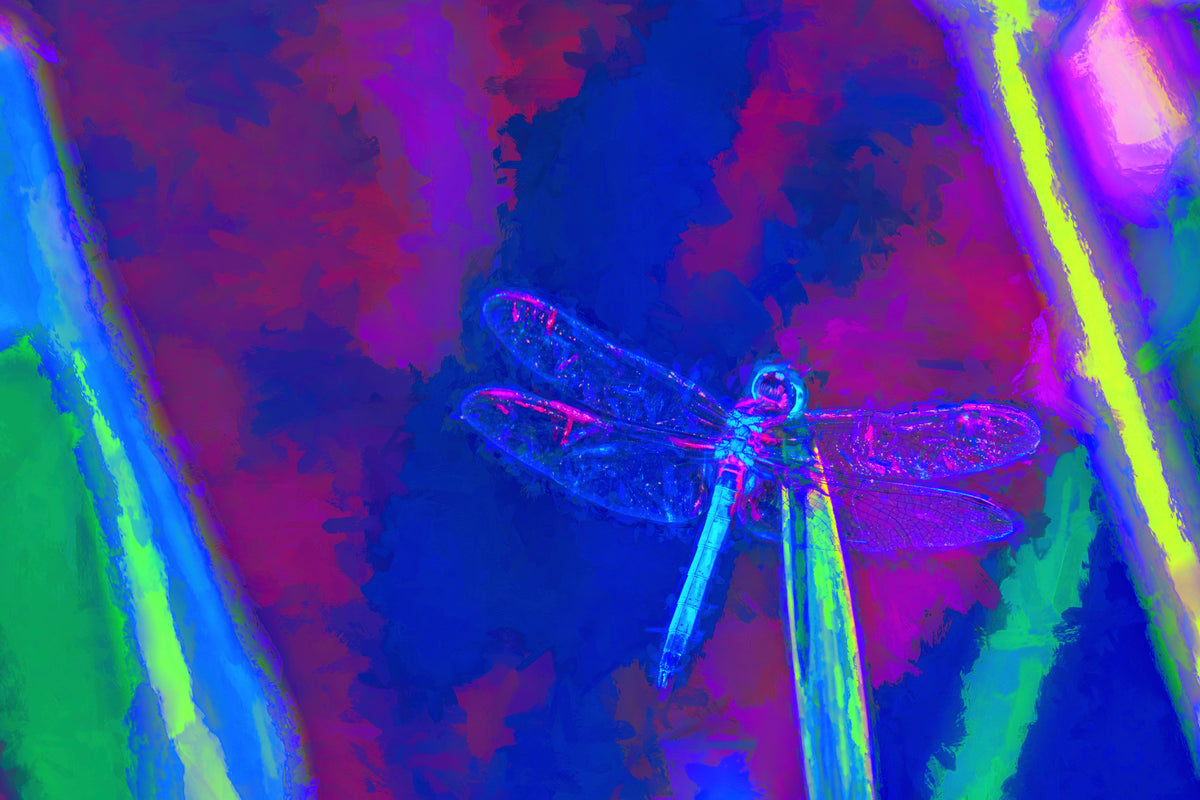 Red Blue Dragonfly Version 1