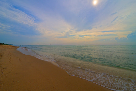 Early Morning  - Photo