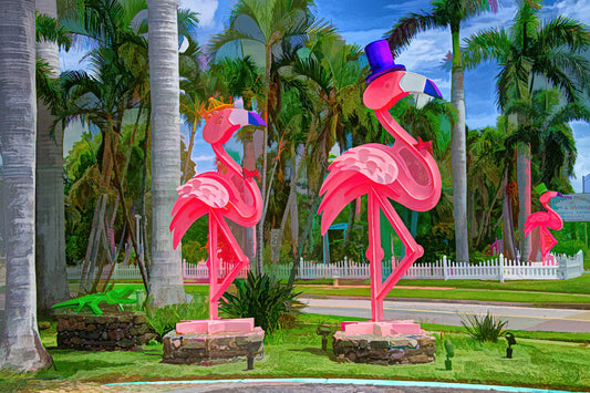 Mr. and Mrs. Flamingos