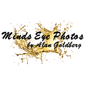 This IS What I'm Doing With All My Photos!