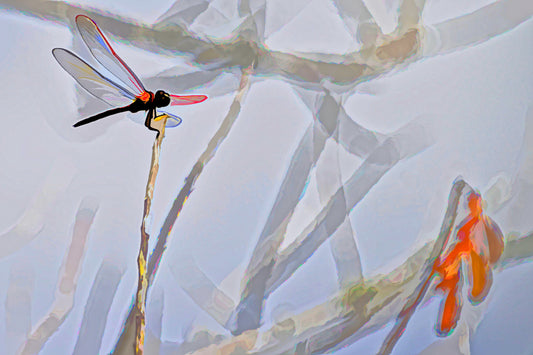 Inspiration by Returning to Nature