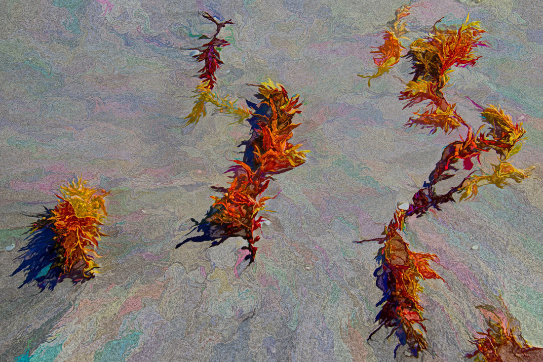 What I Draw on to Create My Art