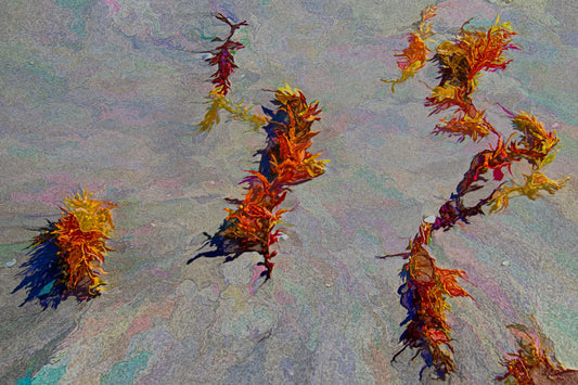 What I Draw on to Create My Art