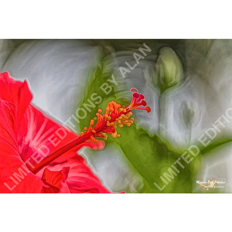 2025 Photo Art Wall Calendar - Limited Editions Collection By Alan Goldberg