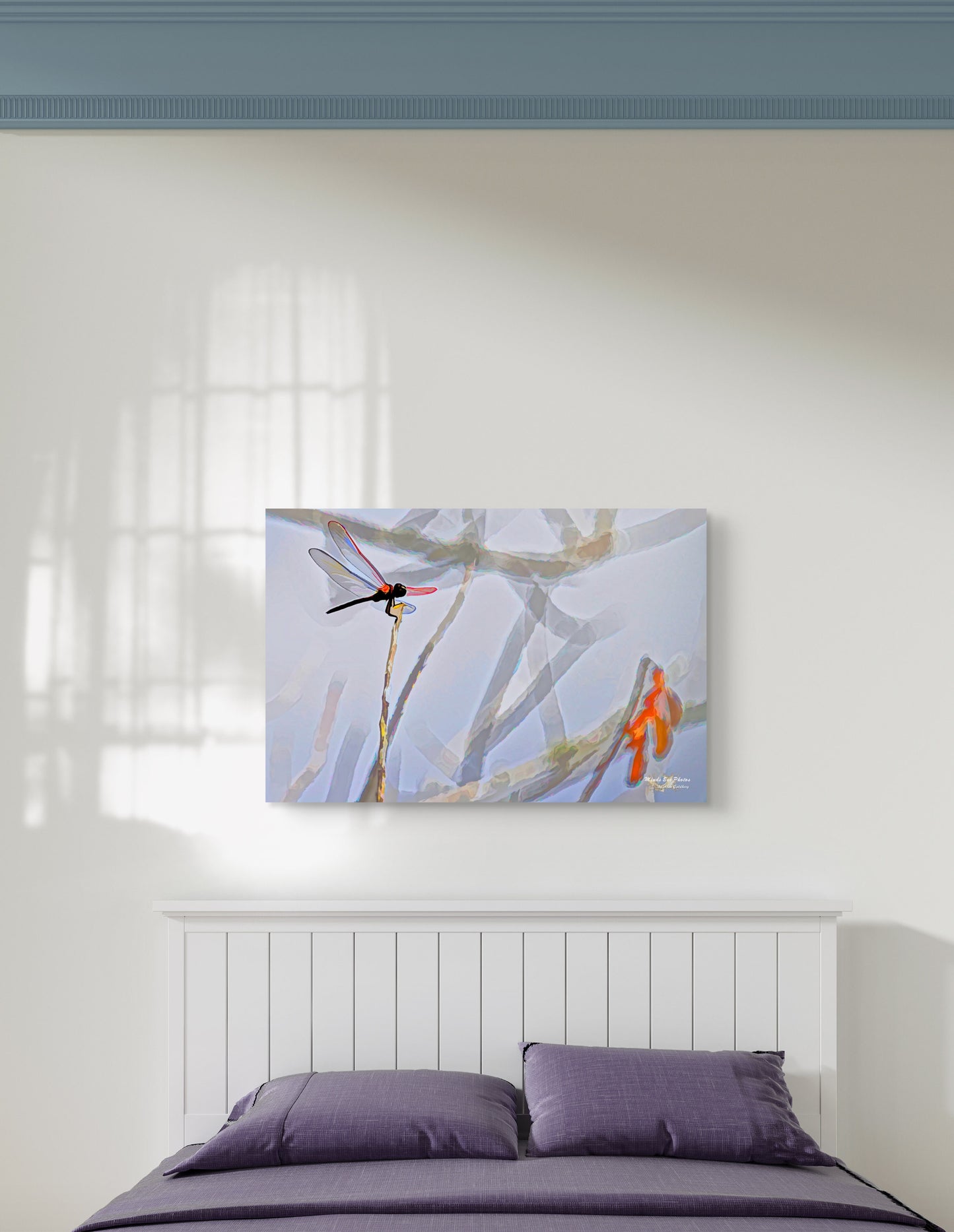 Dragonfly #1 A