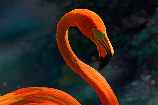 "Flamingo #2" in Acrylic. Go Ask Alice Limited Edition Photo Art Collection by Alan Goldberg (Copy)