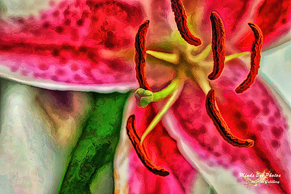 Close Up Of A Lilly In Acrylicdead Flowers Collection Limited Edition Photo Art By Alan Goldberg