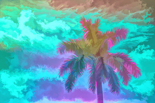 Palm in a Blue Green Sky A