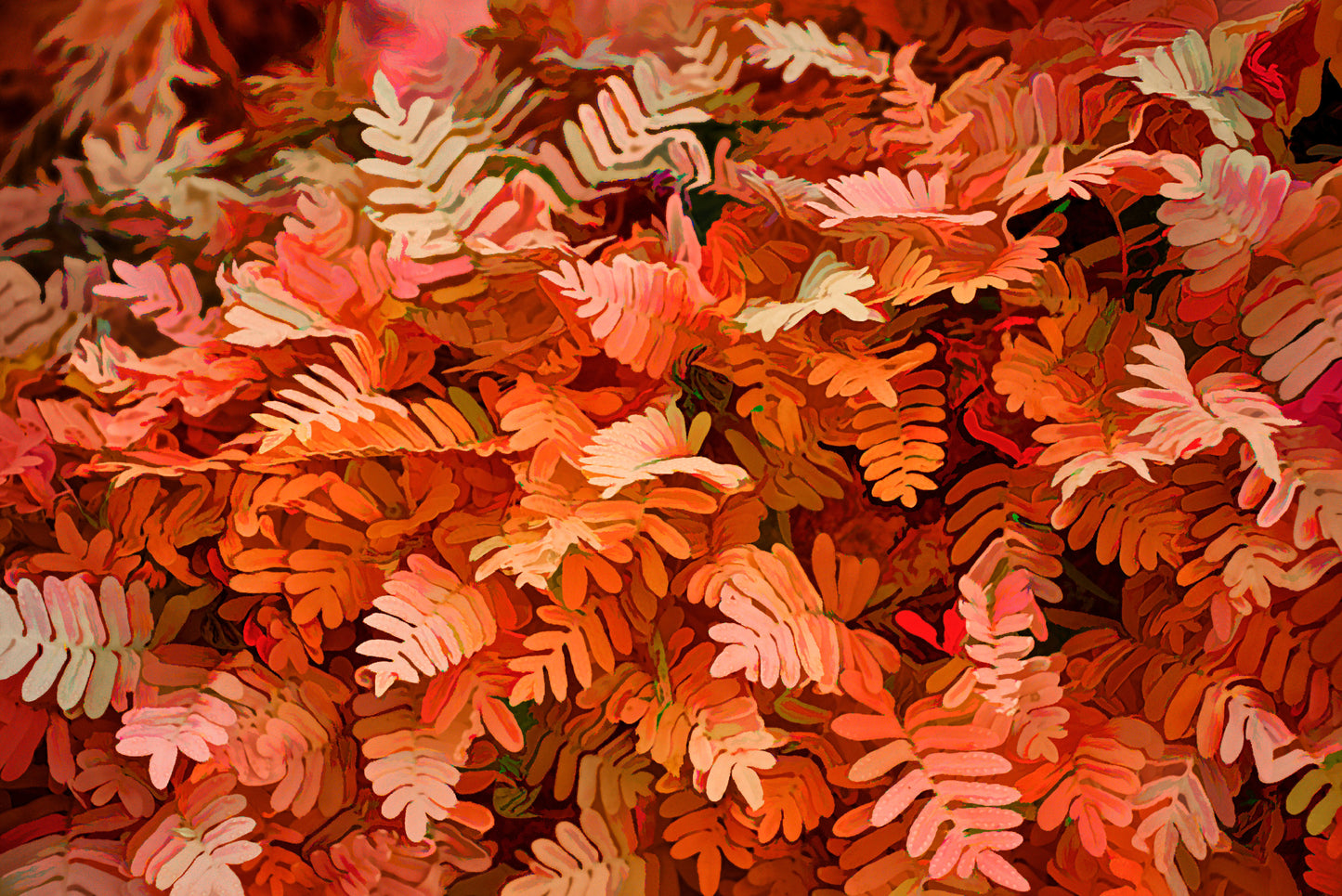Fern in Red Acrylic B