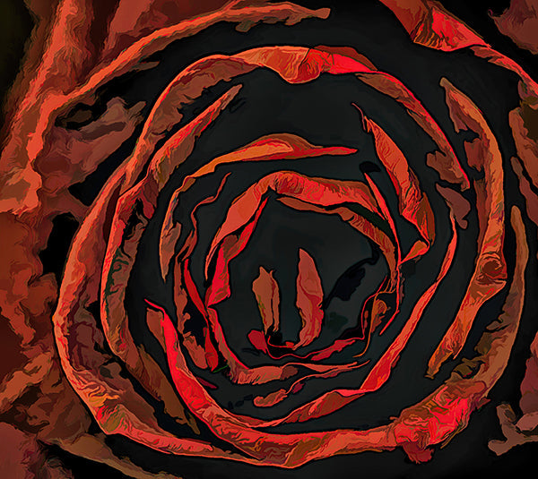 Dead Flowers Series Dead Red Rose In Acrylic - Flowers Collection By Alan Goldberg Photo Art