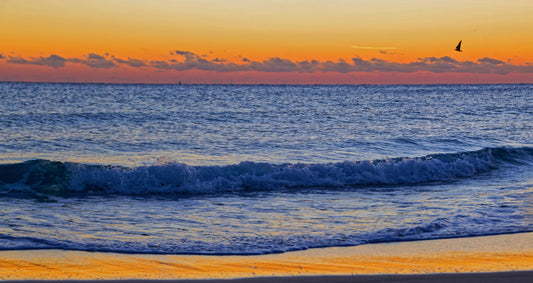 Ocean Sunrise Panorama Photograph - Limited Edition Photo Art By Alan Goldberg