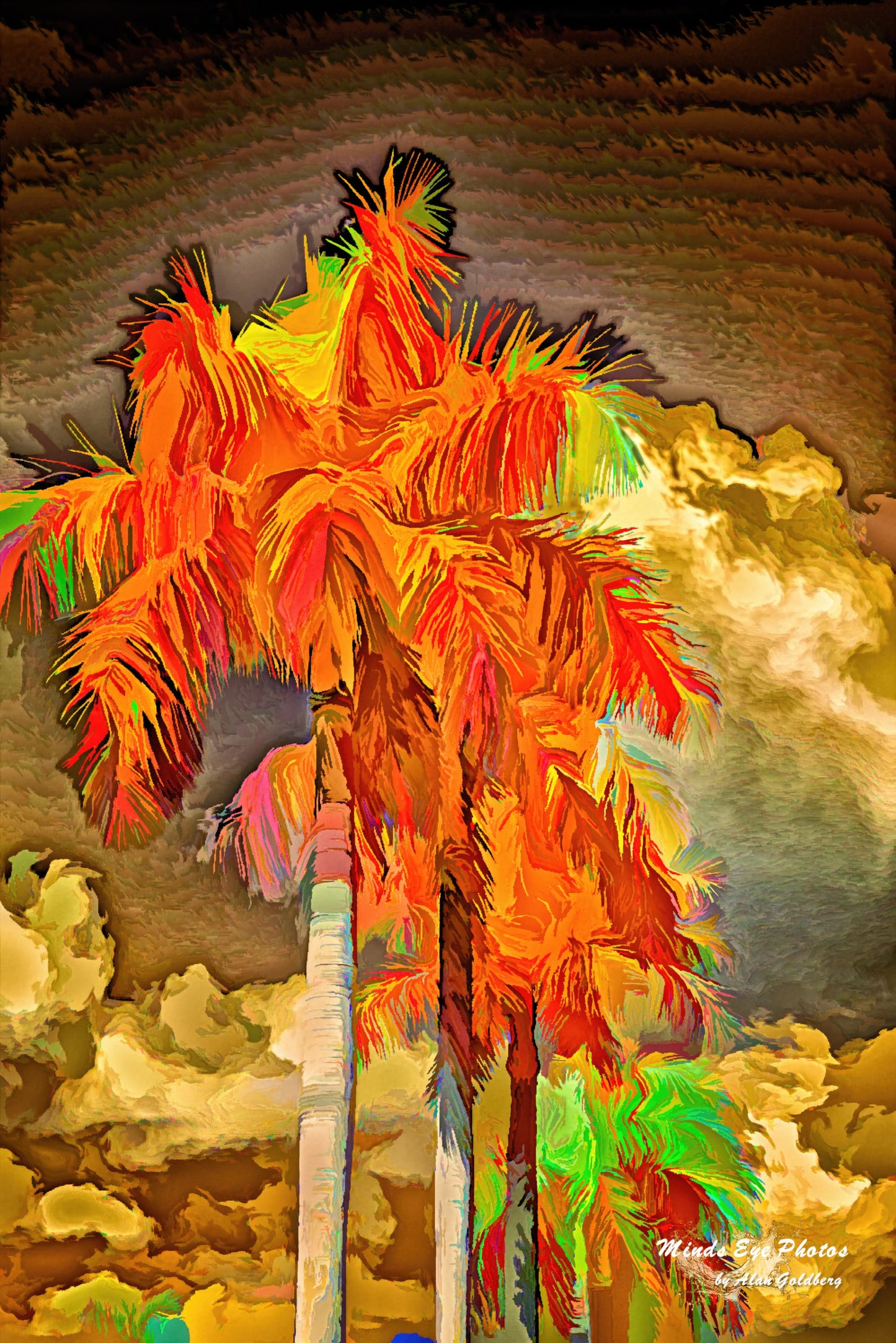 Orange Palm Tree Limited Edition Photo Art By Alan Goldberg