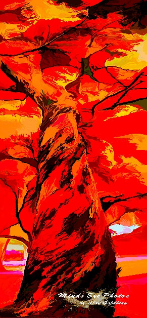 Red Tree In Acrylic Limited Edition Photo Art By Alan Goldberg