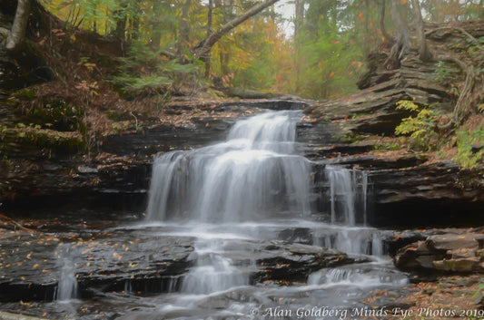 Ricketts Glen State Park Water Fall Photo Art