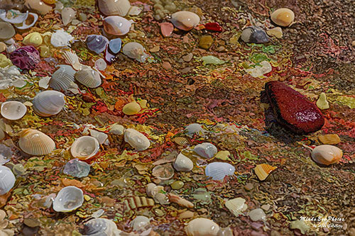 Seashells And Rock ’The Sermon’ Limited Edition Photo Art By Alan Goldberg