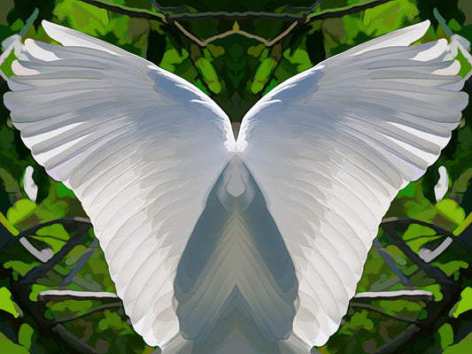 White Angel Wings - Acrylic