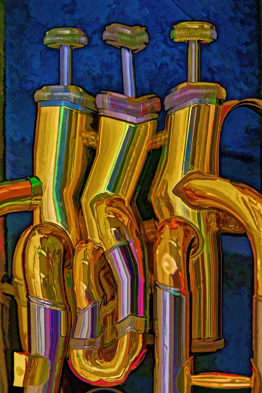 Tuba Values - Limited Edition Photo Art by Alan Goldberg