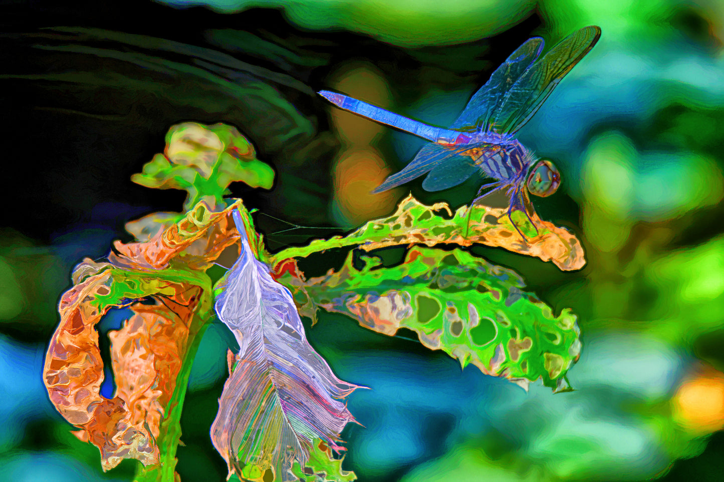 Blue Green Acrylic Dragonfly Version 3