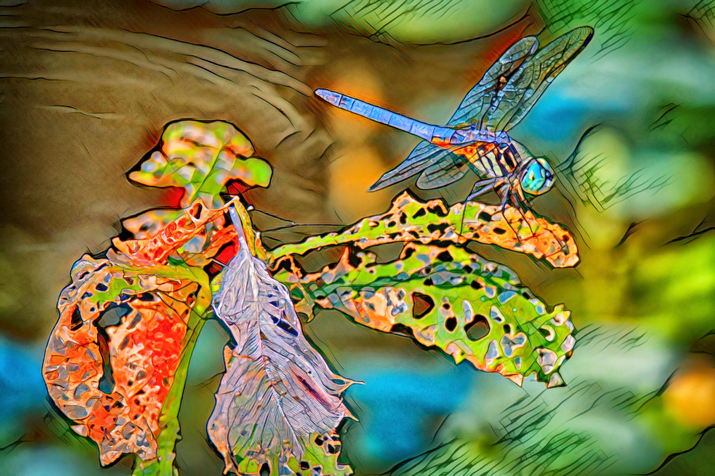Bright Burnt Autumn Dragonfly Version 1
