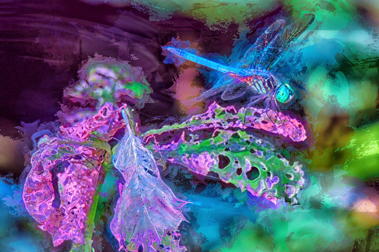 Blue Green Dragonfly Version 3