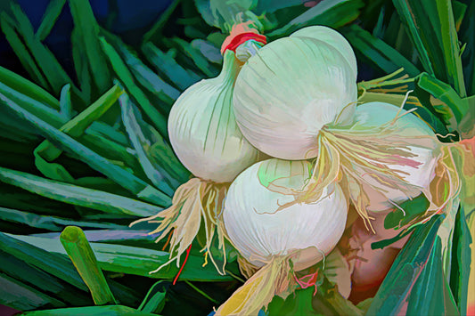 White Onions in acrylic look