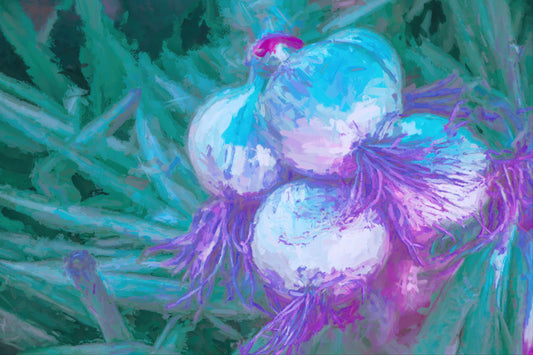Blue Green Onion