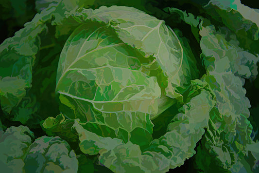 Head of Cabbage - Acrylic Green