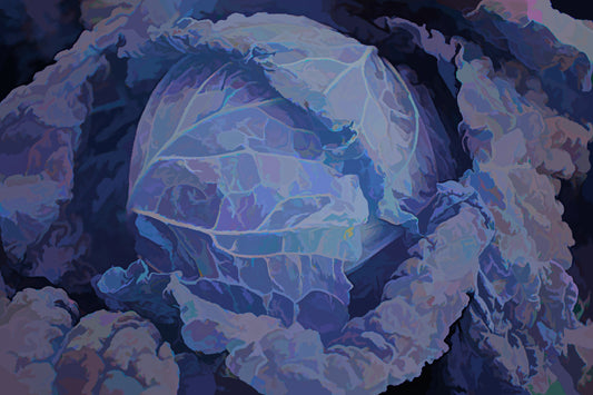 Head of Cabbage - Acrylic Blue