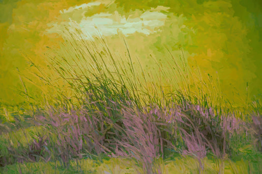 Green/Pink Dune Grass