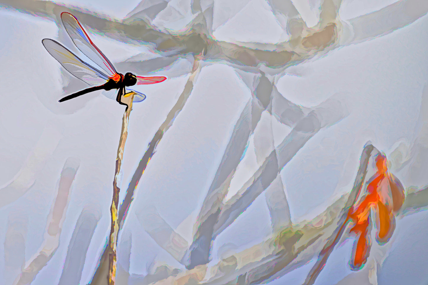 Dragonfly #1 A